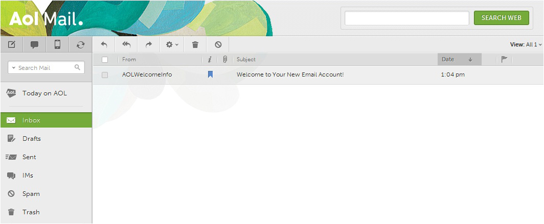 aol outlook 2003 image1